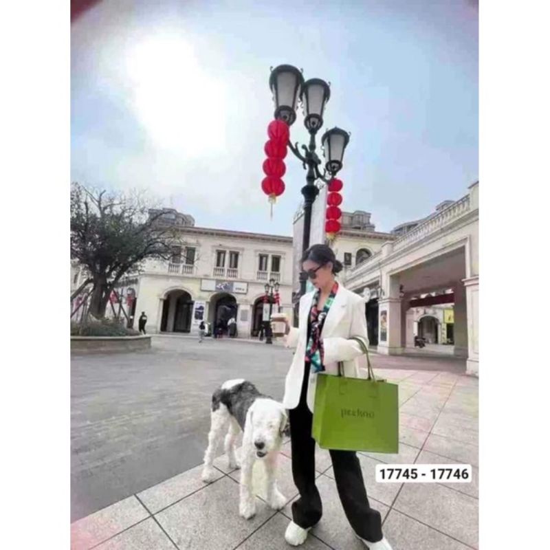 Túi Xách Tay Nữ Bản To Xanh Lá PEKOO Nội Địa Trung Hot Trend 2022 Túi Tote Đeo Vai Thời Trang Đơn Giản