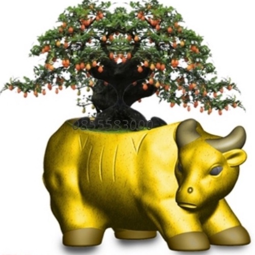 Khuôn đúc chậu cảnh hình con trâu