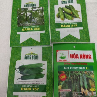 HẠT GIỐNG DƯA LEO F1, DƯA LEO NHẬT