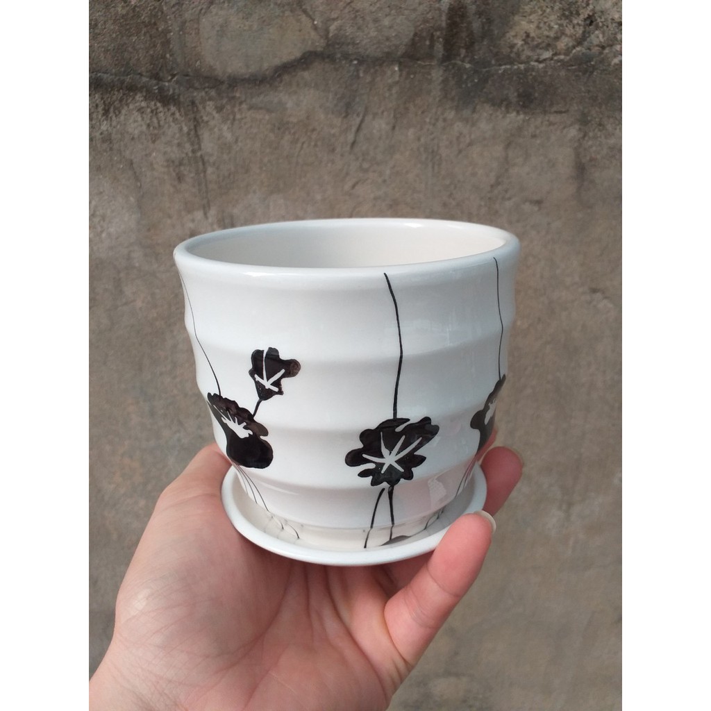 Chậu trồng cây: mẫu sứ đĩa