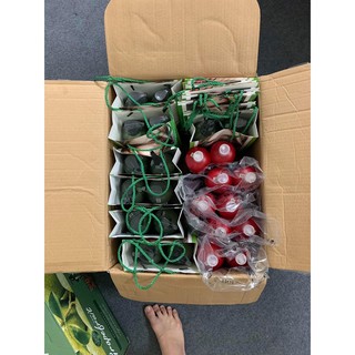 dầu gội tigi đỏ