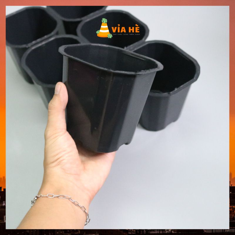 Chậu nhựa đen vuông cứng mini 11x10 chuyên trồng sen đá xương rồng giá tại xưởng
