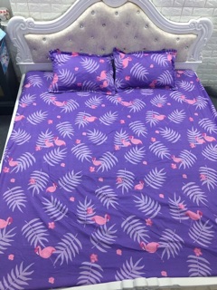 Ga chun 2 vỏ gối nằm poly cotton