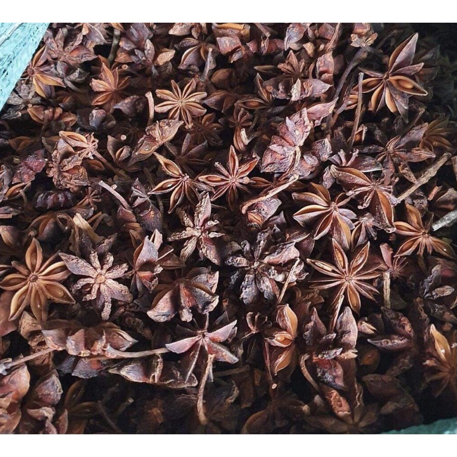 Hoa hồi khô gói 100g