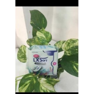 Băng vệ sinh LX hàng ngày lx 05