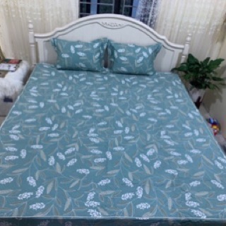 Vỏ chăn hàn quốc 100% cotton
