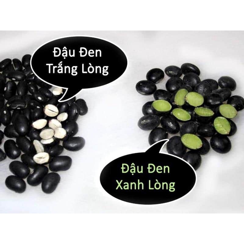 500gr Hạt đỗ đen - Đậu đen xanh lòng chuẩn hữu cơ