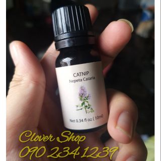 Tinh dầu cỏ mèo catnip