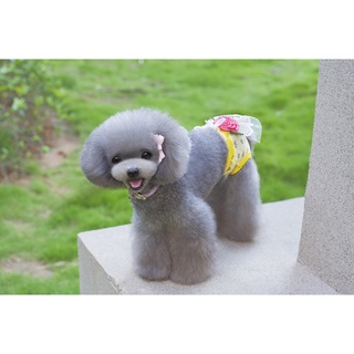 Cute physiological diapers for pets
