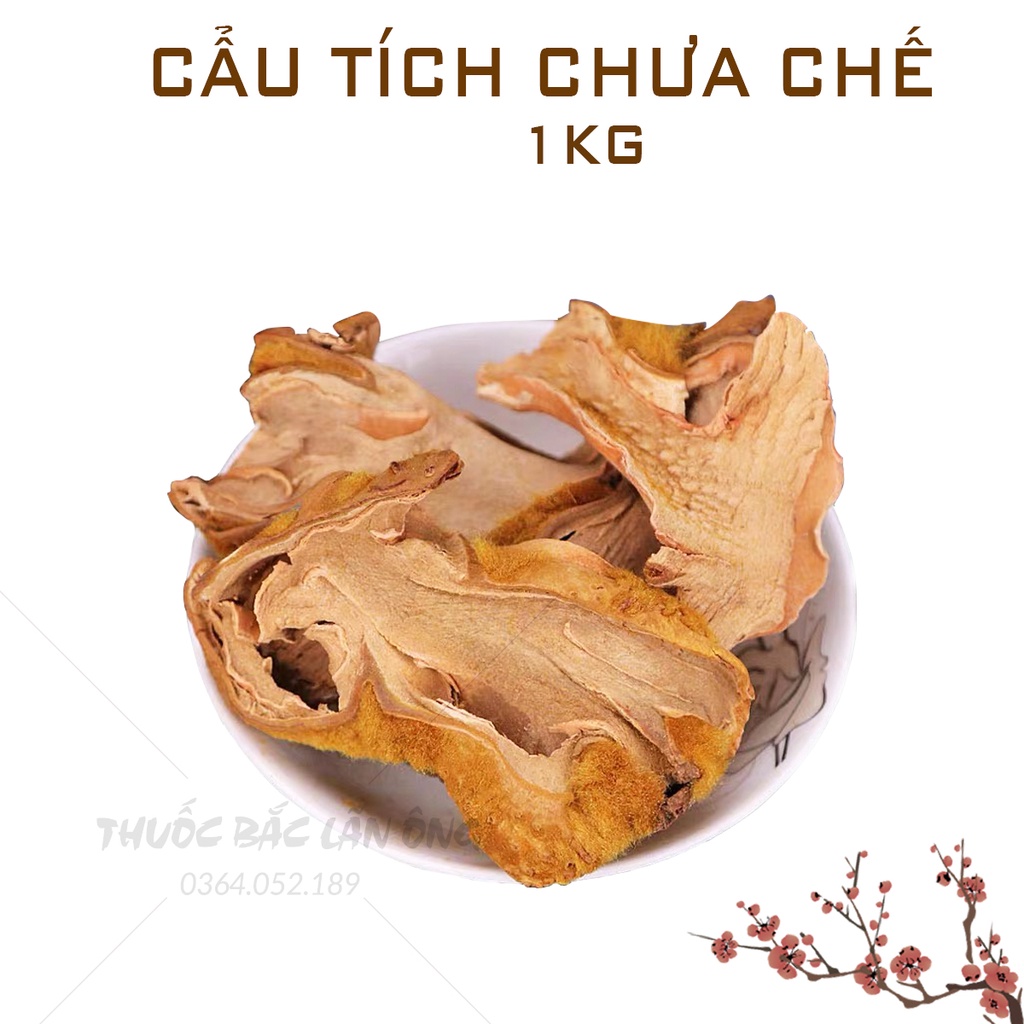 Cẩu tích chưa chế 1kg (Cây lông culi giảm tiểu đêm, mạnh gân cốt)