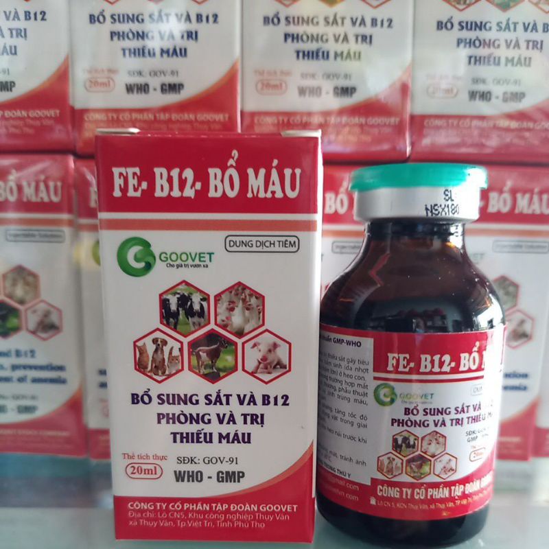 SẮT B12 BỔ MÁU PHÒNG TRỊ THIẾU MÁU GIA SÚC 20ML
