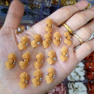 Hoa bột, hoa cúc( gạt ảnh chọn màu)