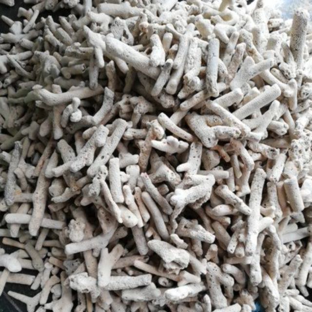 1kg San hô vụn lọc nước bể cá