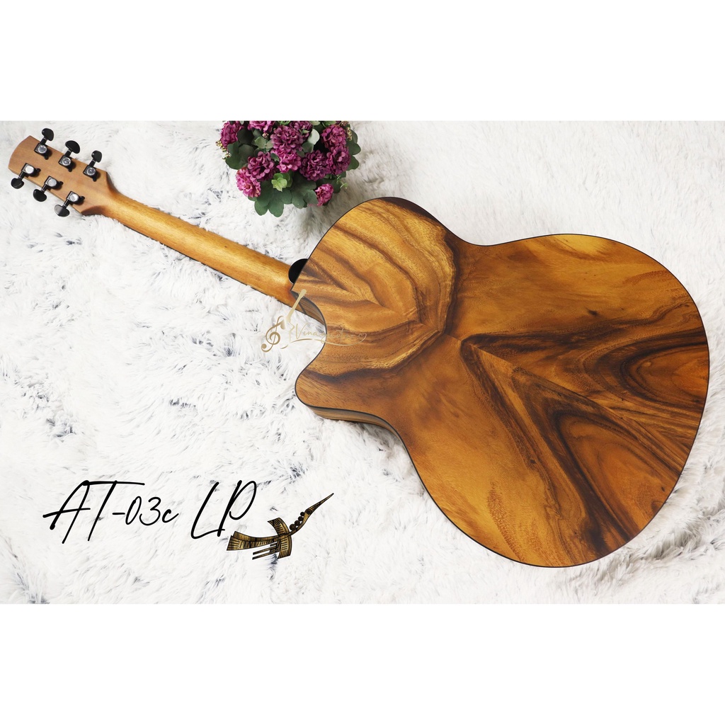 Đàn Guitar Acoustic Thuận AT-03C 2022 Gỗ Điệp - Tặng Bao da 12 phụ kiện- Vinaguitar phân phối chính hãng Thuận Guitar