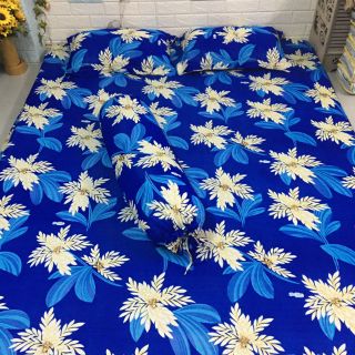 Drap thun hàn ( chat với shop chọn mẫu)