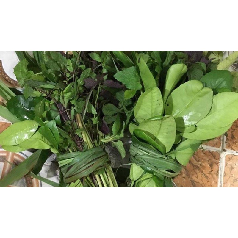 Lá Xông Giải Cảm Khử Khuẩn