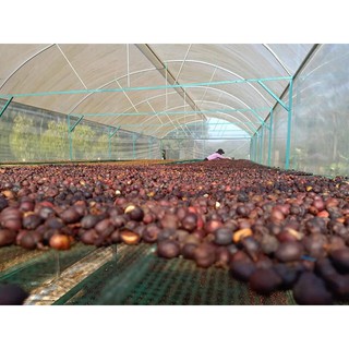 CÀ PHÊ NGUYÊN CHẤT- NATTURAL-500g