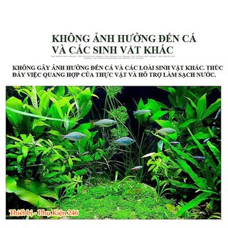 Co2 dạng viên cho hồ thủy sinh