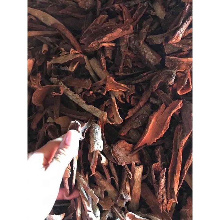 Nhang Quế Dương Minh nhang sạch 100% thành phần organic  thơm tự nhiên không hóa chất hương an toàn nhang cây 30cm