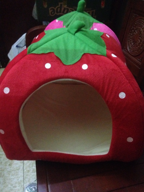 Nhà dâu tây cho thú cưng