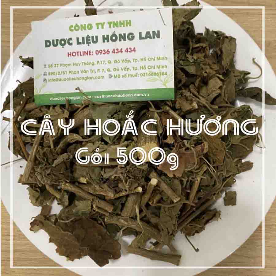 Cây Hoắc Hương khô - Hàng Công Ty loại 1 - E3 Audio Miền Nam