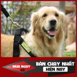 Dây dắt chó to kèm yếm phản quang Police Dog
