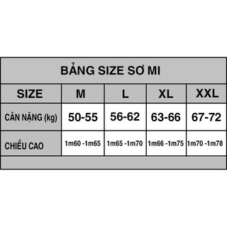 Sơ mi cao cấp sọc xanh nhạt