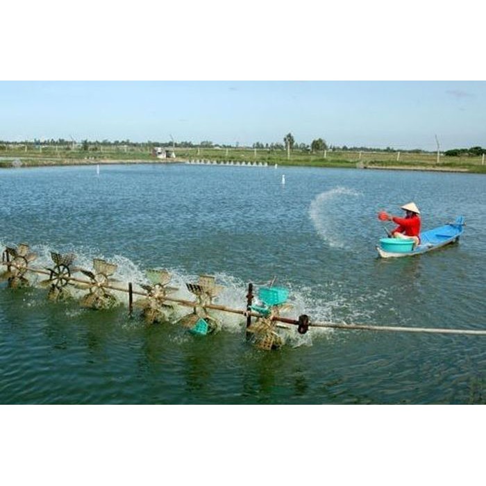 KHOÁNG TẠT AO TÔM. Gói 1kg