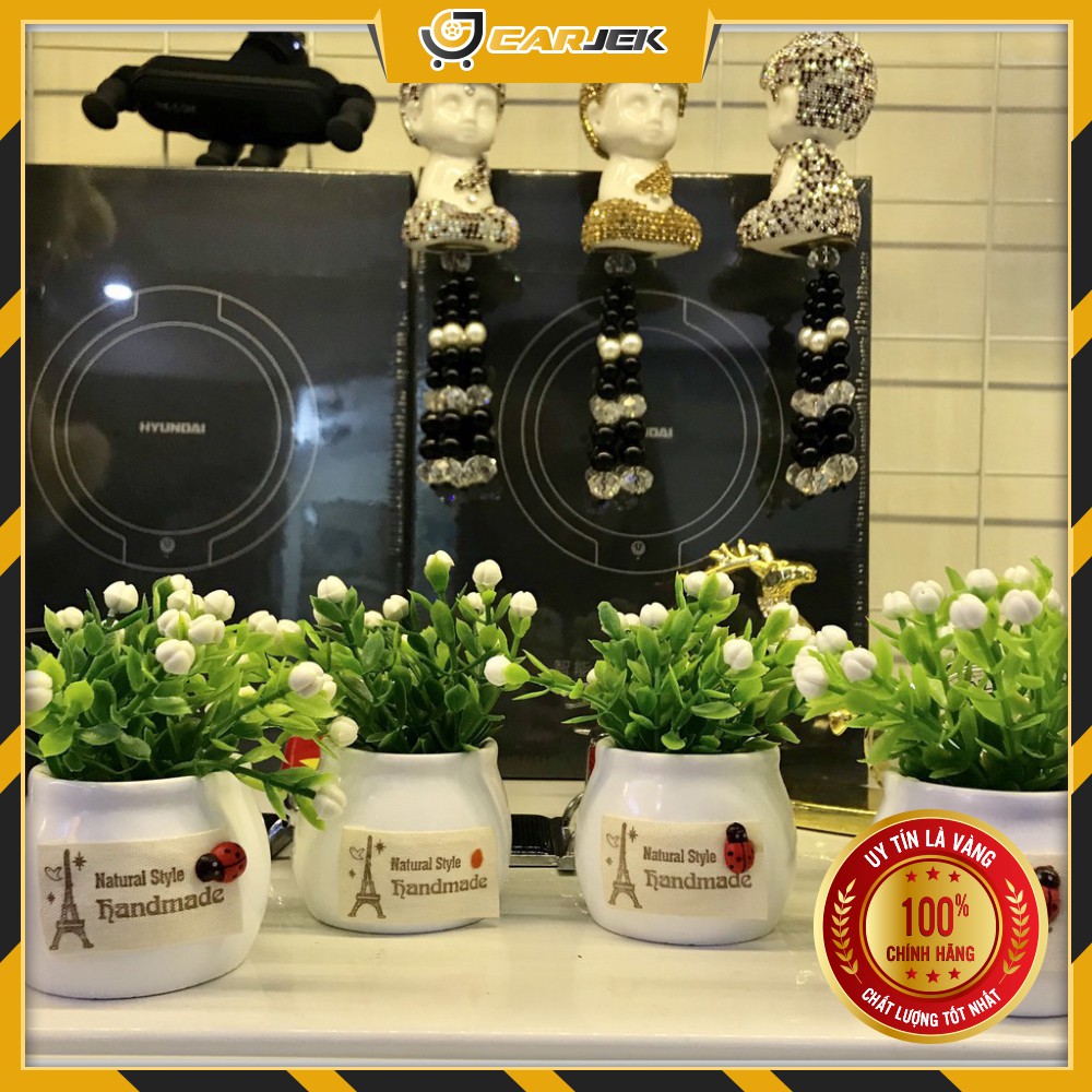 CHẬU HOA MINI TRANG TRÍ XE HƠI, PHÒNG LÀM VIỆC, Đặt Taplp, Để Bàn Làm Việc - CỰC XINH