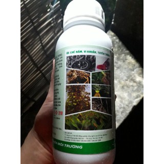 Nấm đối kháng Trichoderma