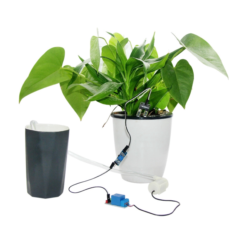 Set mô đun tưới tự động DIY phát hiện độ ẩm của đất và bơm nước tự động