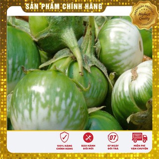 Hạt Giống Cà Bát Ta Da Ếch(2gr)