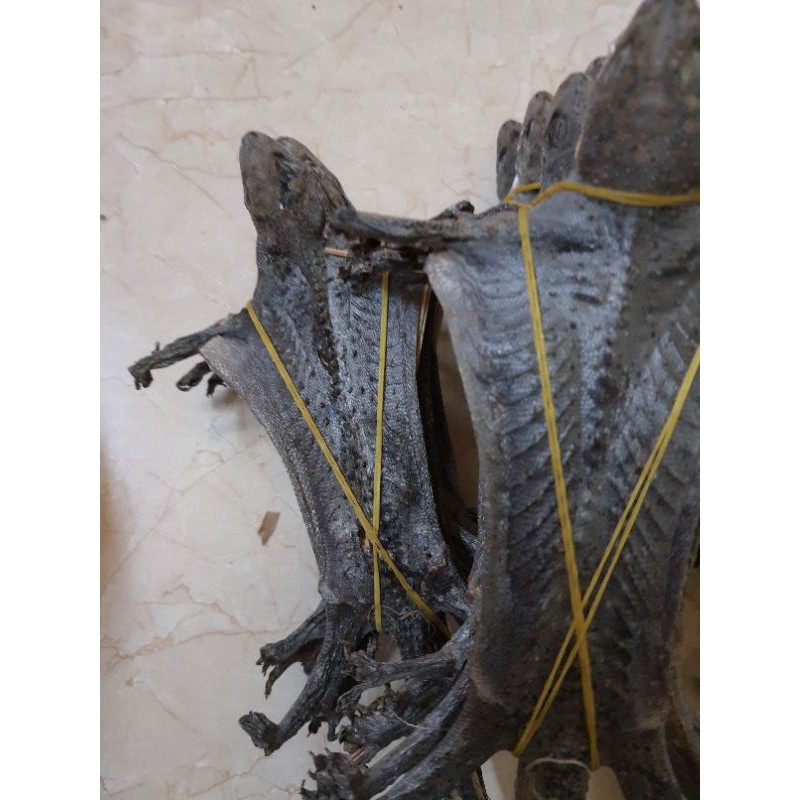 Tắc kè khô/1 con to | BigBuy360 - bigbuy360.vn