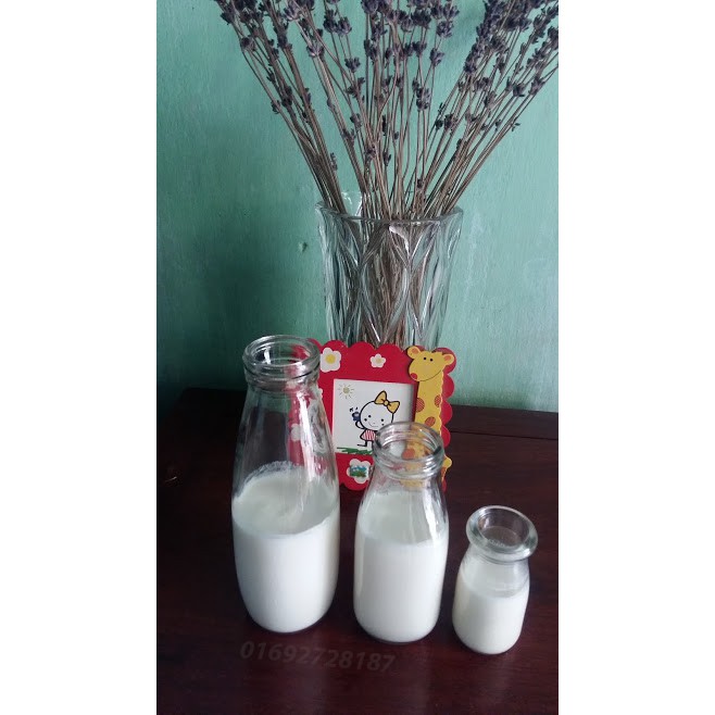 SỮA CHUA KEFIR
