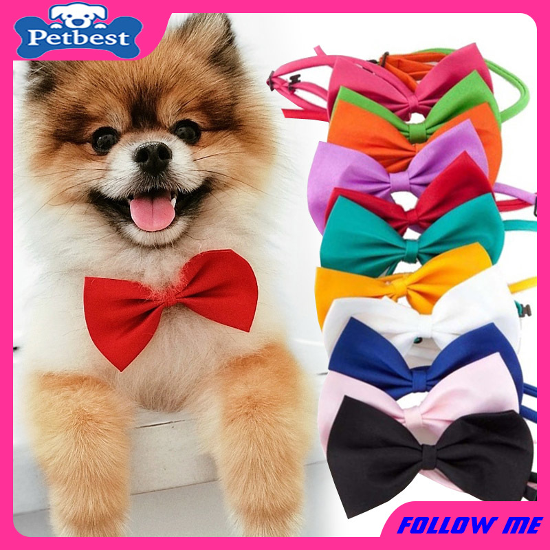 Vòng cổ nơ dành cho thú cưng nhiều màu sắc tuỳ chọn