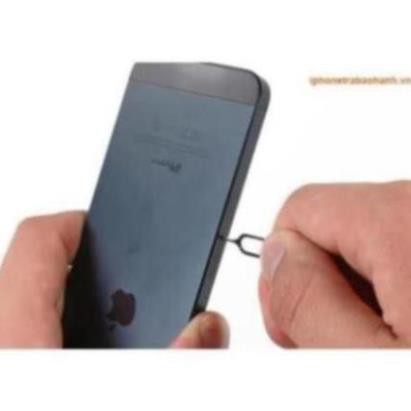 Que Chọc sim sim từ bé tới lớn