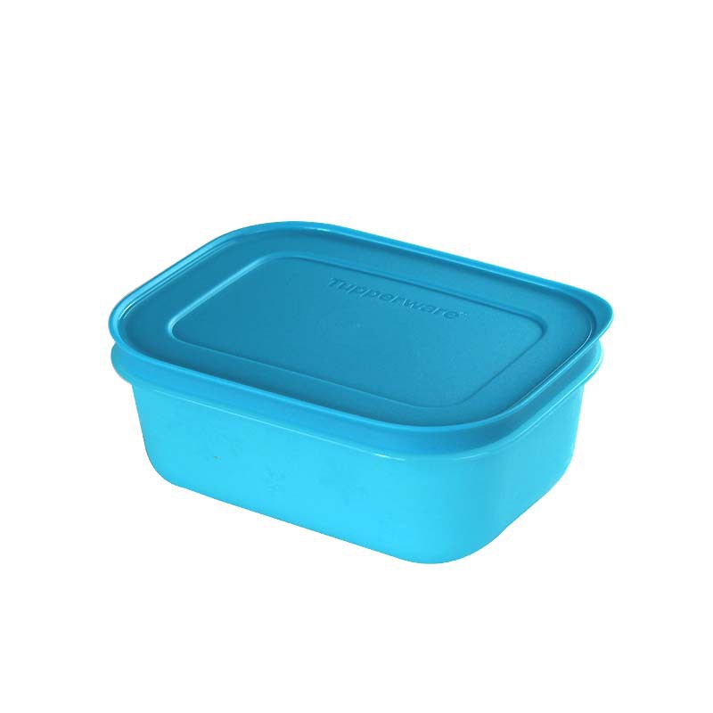 Hộp Tupperware trữ đông thức ăn tủ lạnh thế hệ 2 TU26