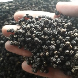 Hạt tiêu đen khô 100g