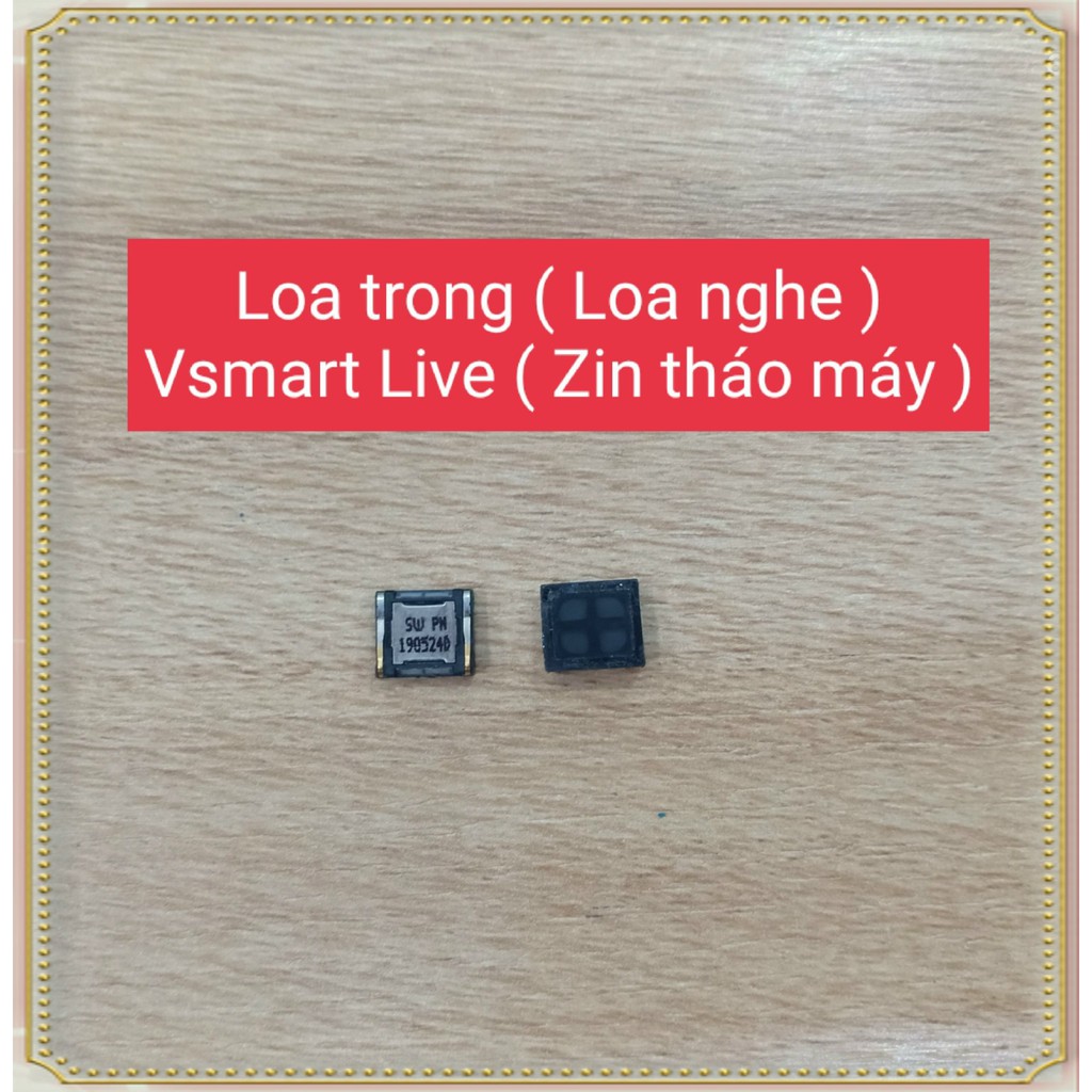 Loa trong  Vsmart Live/V620A