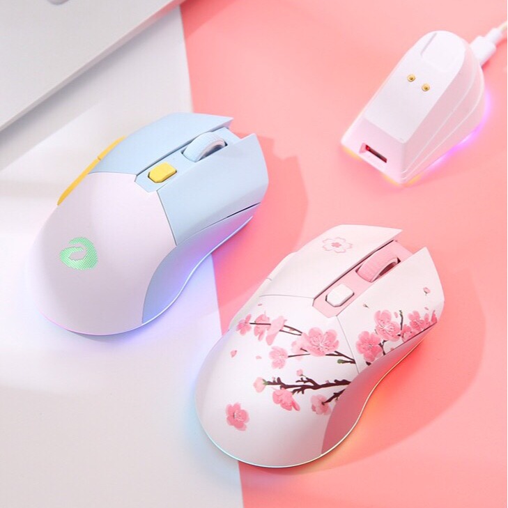 PCshop HN