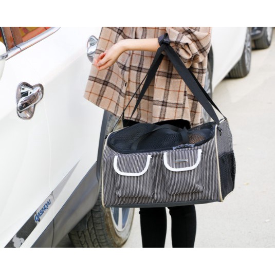 Dodopet Túi  Balo vận chuyển thú cưng cao cấp cố định an toàn trên ô tô chó mèo/ thú cảnh