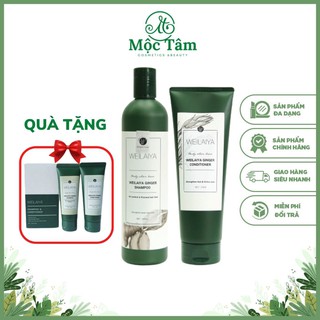 Dầu gội ngăn rụng tóc gừng-gừng hà thủ ô weilaiya giảm rụng hỗ trợ kích thích mọc tóc nhanh, giảm bết dầu, gàu, khô xơ