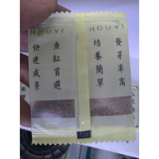 Hạt Giống Thủy Sinh - Cây Ngưu Mao Chiên