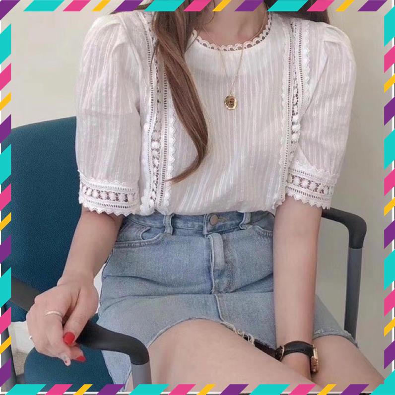 Áo trắng cộc tay ren áo sơ mi trắng áo sơ mi viền ren sơ mi tiểu thư MSP25684