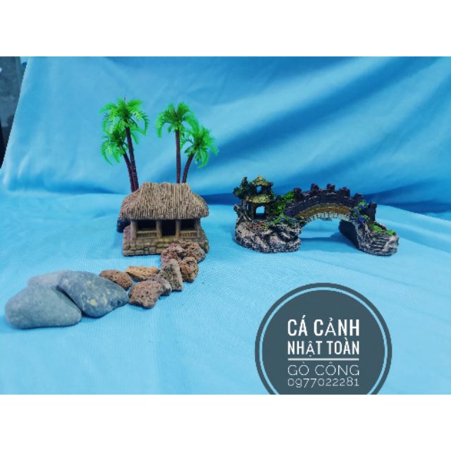 COMBO TRANG TRÍ HỒ CÁ NON BỘ 155K MẪU 2