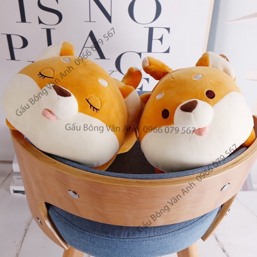 Gấu Bông Chó Shiba Vàng Mắt Híp ,Shiba Mắt Tròn Siêu Cute