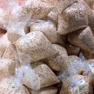 Combo 10kg hạt bí giá sỉ