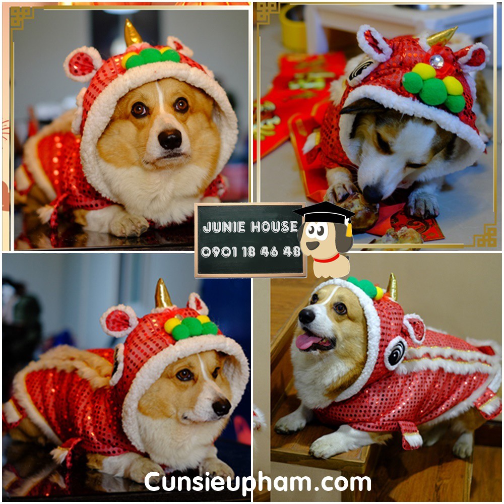 Áo con lân lấp lánh đồ Tết múa lân cho chó mèo