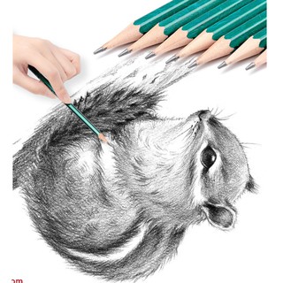 Bút Chì Gỗ 2B Không Đọc Hại Cho Bé màu xanh
