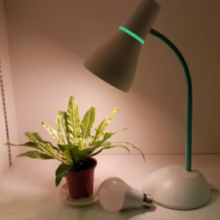 Đèn bàn pear 71567 Philips